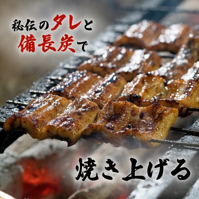 鹿児島名代　うなぎ食堂　末よしのうなぎ蒲焼　5パック　K047-001