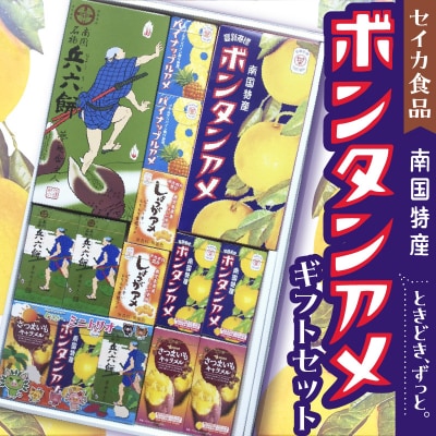 セイカ食品 南国特産ボンタンアメギフトセット　K194-001