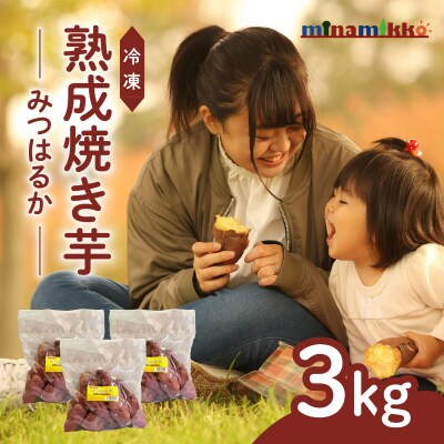 冷凍　熟成焼き芋みつはるか　K169-001