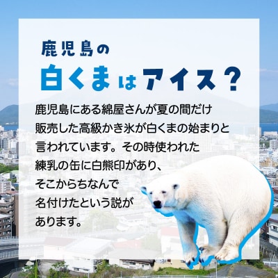 セイカ食品 南国白くま・南国白くま(マンゴー)詰め合わせセット　K051-001