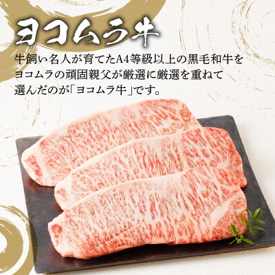 サーロインステーキ　K189-005