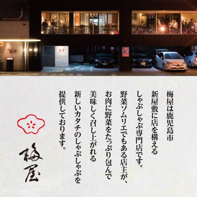 梅屋　和出汁しゃぶしゃぶ3～4人前　K144-002