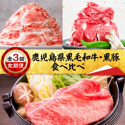 【全3回】鹿児島県黒毛和牛・黒豚食べ比べ定期便　K000-T2309