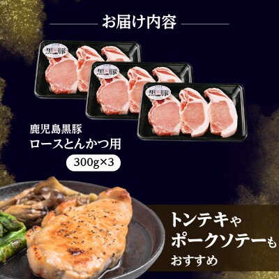 鹿児島黒豚とんかつセット 計900g(C-801)　K127-003