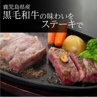 【5営業日以内に発送】鹿児島黒毛和牛のサーロインステーキセット 500g　K134-003
