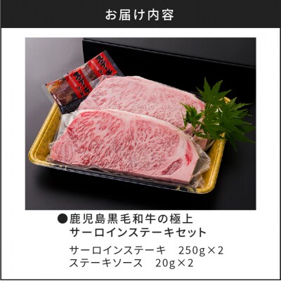 【5営業日以内に発送】鹿児島黒毛和牛のサーロインステーキセット 500g　K134-003