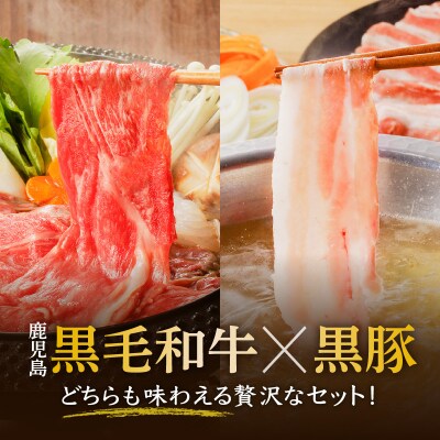 【 期間限定 生活応援 】黒牛×黒豚スライスセット900g　K098-003