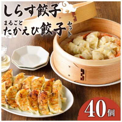鹿児島の海鮮入り餃子セット　K061-002