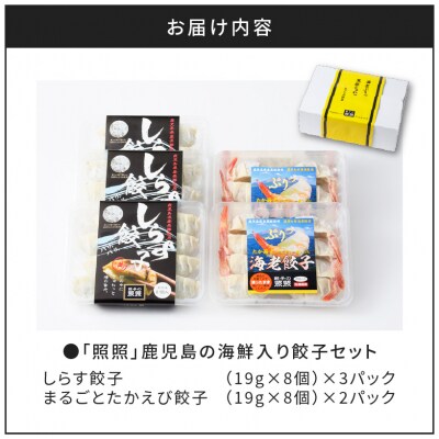 鹿児島の海鮮入り餃子セット　K061-002