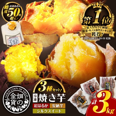 畑の金貨 焼き芋3種セット 3kg　K181-001_04