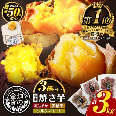 畑の金貨 焼き芋3種セット 3kg　K181-001_04