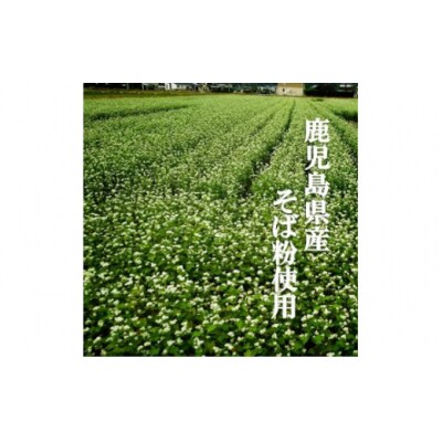 鹿児島県産　石臼挽き　冷凍生そば　K071-001