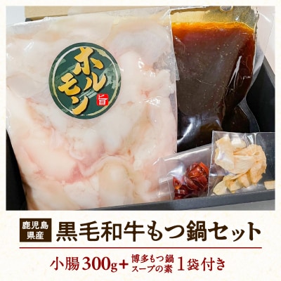 鹿児島県産黒毛和牛もつ鍋セット　K328-011