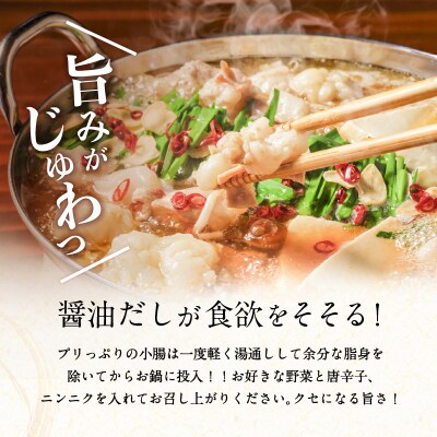 鹿児島県産黒毛和牛もつ鍋セット　K328-011