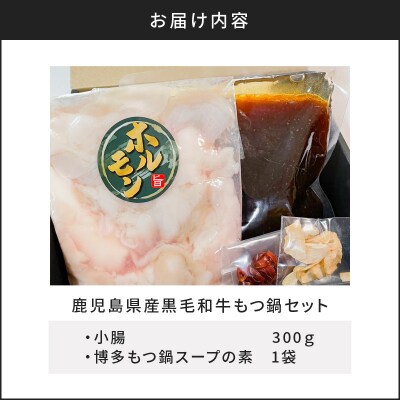 鹿児島県産黒毛和牛もつ鍋セット　K328-011