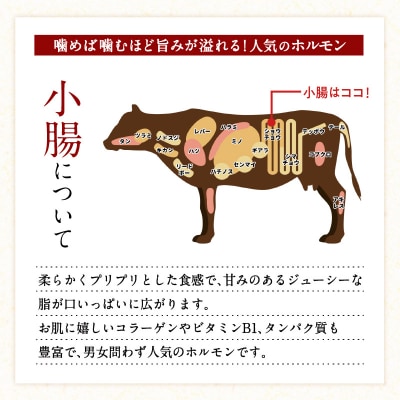 鹿児島県産黒毛和牛　上ホルモン1kg　K328-012