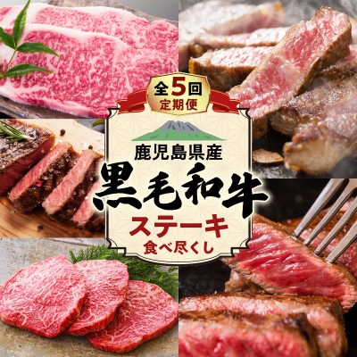 【全5回】鹿児島県産黒毛和牛ステーキ食べ尽くし定期便　K000-T2308