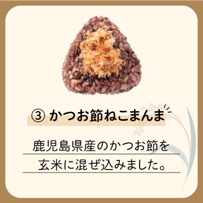 【7営業日以内に発送】冷凍玄米おむすび 5個入り (3)かつお節ねこまんま　K182-005_03