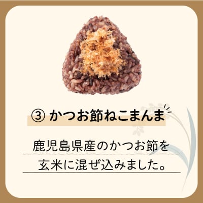 【7営業日以内に発送】冷凍玄米おむすび 5個入り (3)かつお節ねこまんま　K182-005_03