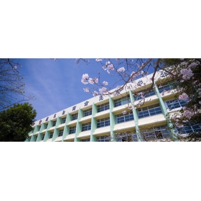 【母校応援ふるさと寄附金事業】(返礼品なし)1.鹿児島商業高等学校　KS-10000-1
