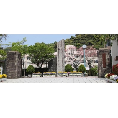 【母校応援ふるさと寄附金事業】(返礼品なし)2.鹿児島女子高等学校　KS-10000-2
