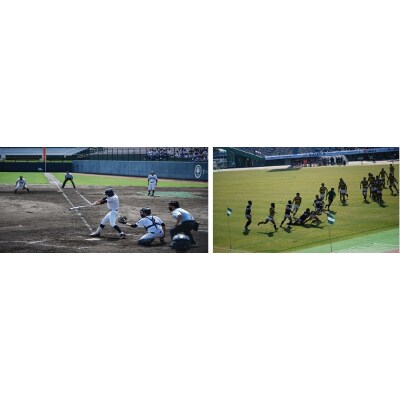 【母校応援ふるさと寄附金事業】(返礼品なし)3.鹿児島玉龍高等学校　KS-100000-3