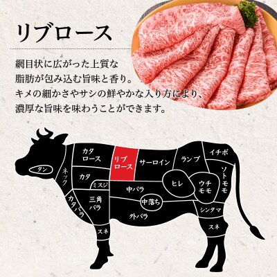 鹿児島県産黒毛和牛リブロース肉(5等級)　K171-002