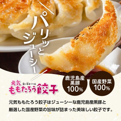 【純金箔付き】元気ももたろう餃子　96個　K147-001