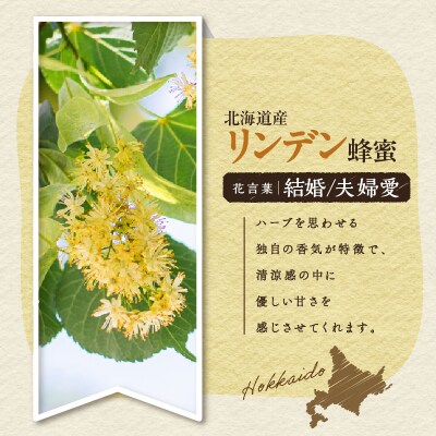 【5営業日以内に発送】リンデンの蜂蜜酒 meadolミードル辛口300ml　K105-003k