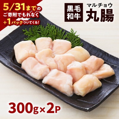 黒毛和牛丸腸(ホルモン)300g入り×2パック　K130-001_cp