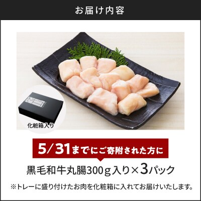 黒毛和牛丸腸(ホルモン)300g入り×2パック　K130-001_cp