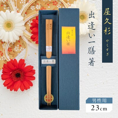 屋久杉 出逢い一膳箸 男性用(23cm)　K042-007_2