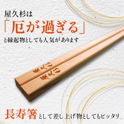 屋久杉　出逢い夫婦箸　K042-008