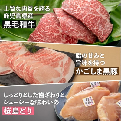 【岩元精肉店】鹿児島県産精肉 厳選4か月お届けコース　K045-T04