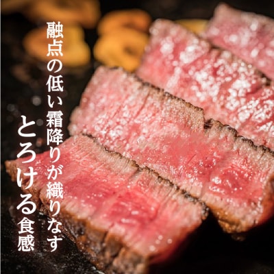 【岩元精肉店】鹿児島県産黒毛和牛ヒレステーキ5枚(600g)6ヵ月お届けコース　K045-T05