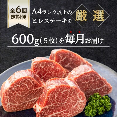 【岩元精肉店】鹿児島県産黒毛和牛ヒレステーキ5枚(600g)6ヵ月お届けコース　K045-T05