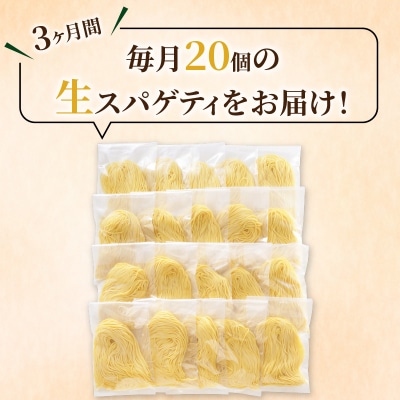【3ヶ月定期便】生スパゲティ20個　K036-T02