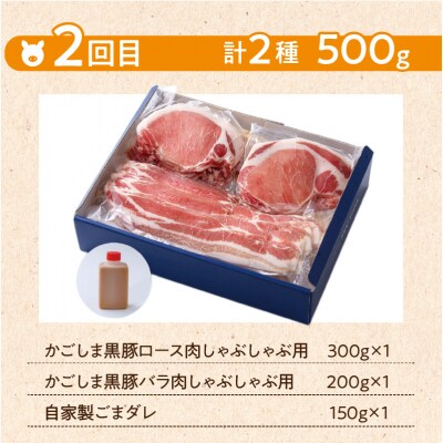【岩元精肉店】鹿児島県産黒毛和牛・かごしま黒豚　味わい2か月お届けコース　K045-T03