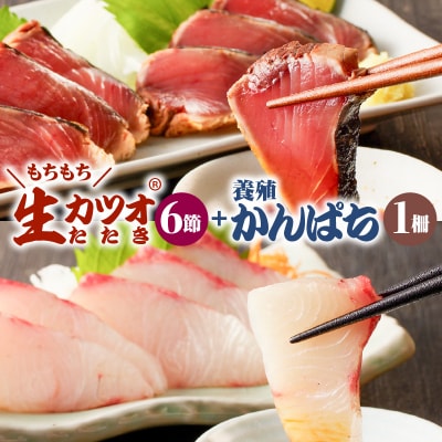 【山実水産】もちもち生カツオ(R)たたき6節+養殖かんぱち柵セット　K046-001