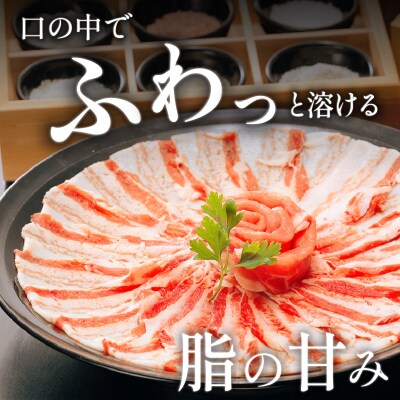 「黒豚料理専門店　寿庵」黒豚しゃぶしゃぶセット(3～4人前)　K049-001
