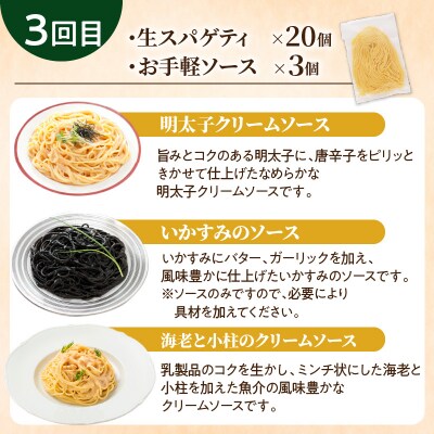 【3ヶ月定期便】生スパゲティ20個　お手軽ソース3個付き　K036-T07