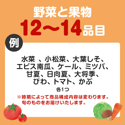 【JA直売所セレクト】旬鮮野菜・果物セット(12～14品目)　K072-001