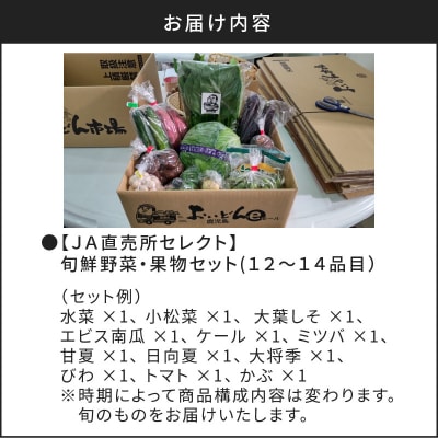 【JA直売所セレクト】旬鮮野菜・果物セット(12～14品目)　K072-001