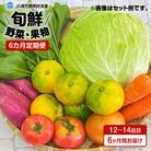 【JA直売所セレクト】6ヵ月定期便!旬鮮野菜・果物セット(12～14品目)　K072-T01