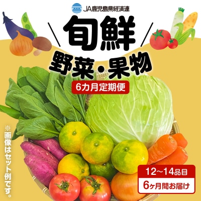 【JA直売所セレクト】6ヵ月定期便!旬鮮野菜・果物セット(12～14品目)　K072-T01