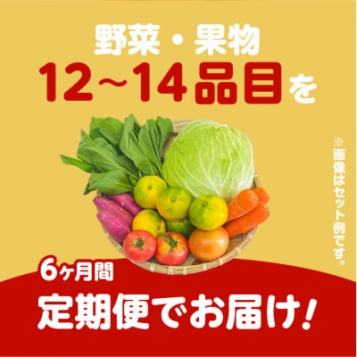【JA直売所セレクト】6ヵ月定期便!旬鮮野菜・果物セット(12～14品目)　K072-T01
