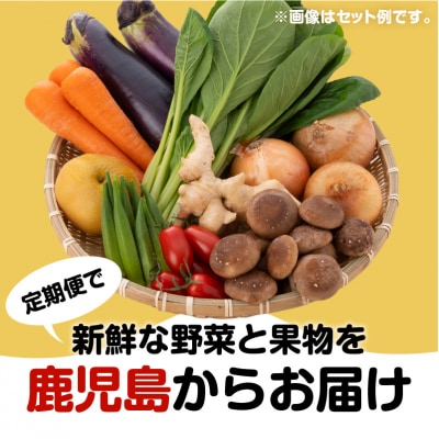 【JA直売所セレクト】6ヵ月定期便!旬鮮野菜・果物セット(12～14品目)　K072-T01