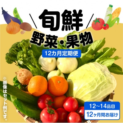 【JA直売所セレクト】12ヵ月定期便!旬鮮野菜・果物セット(12～14品目)　K072-T02