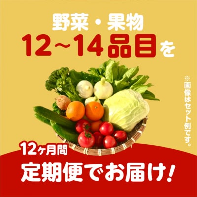 【JA直売所セレクト】12ヵ月定期便!旬鮮野菜・果物セット(12～14品目)　K072-T02