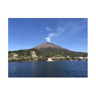 錦江湾釣り体験約4時間コース(4名様)　K087-004
